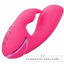 CalExotics California Dreaming So. Cal Sunshine krolik fuksja USB CALEXOTICS
