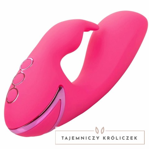 CalExotics California Dreaming So. Cal Sunshine krolik fuksja USB CALEXOTICS