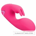 CalExotics California Dreaming So. Cal Sunshine krolik fuksja USB CALEXOTICS