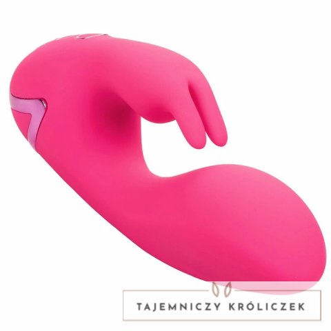 CalExotics California Dreaming So. Cal Sunshine krolik fuksja USB CALEXOTICS