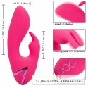 CalExotics California Dreaming So. Cal Sunshine krolik fuksja USB CALEXOTICS