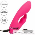 CalExotics California Dreaming So. Cal Sunshine krolik fuksja USB CALEXOTICS