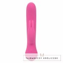 CalExotics First Time Bunny model rożowy z ładowaniem USB, silikon CALEXOTICS