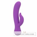 CalExotics First Time Pleaser Fioletowy Akumulatorowy, Wodoodporny CALEXOTICS
