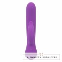 CalExotics First Time Pleaser Fioletowy Akumulatorowy, Wodoodporny CALEXOTICS