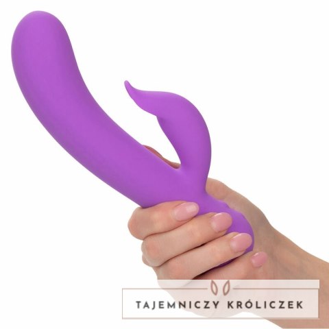 CalExotics First Time Pleaser Fioletowy Akumulatorowy, Wodoodporny CALEXOTICS