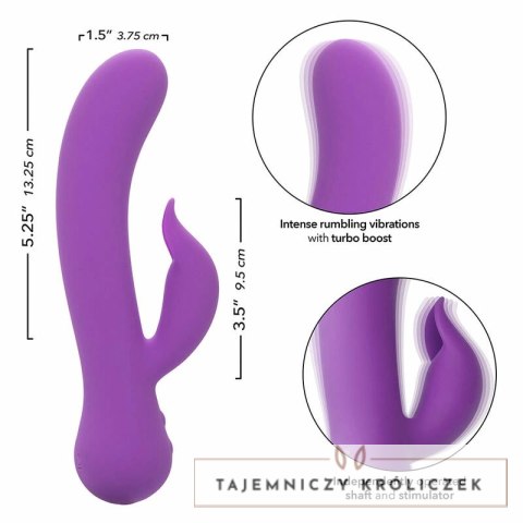 CalExotics First Time Pleaser Fioletowy Akumulatorowy, Wodoodporny CALEXOTICS