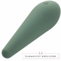CalExotics Mod Chic Zielony - Precyzyjny stymulator silikonowy USB CALEXOTICS
