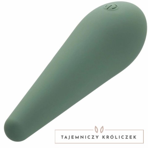 CalExotics Mod Chic Zielony - Precyzyjny stymulator silikonowy USB CALEXOTICS