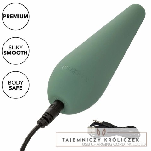 CalExotics Mod Chic Zielony - Precyzyjny stymulator silikonowy USB CALEXOTICS