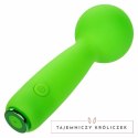 CalExotics Neon Vibes Bubbly Vibe Mini Masażer Zielony 10 Trybow USB CALEXOTICS