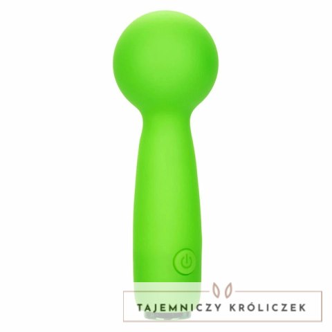 CalExotics Neon Vibes Bubbly Vibe Mini Masażer Zielony 10 Trybow USB CALEXOTICS