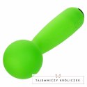 CalExotics Neon Vibes Bubbly Vibe Mini Masażer Zielony 10 Trybow USB CALEXOTICS
