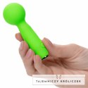 CalExotics Neon Vibes Bubbly Vibe Mini Masażer Zielony 10 Trybow USB CALEXOTICS