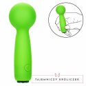 CalExotics Neon Vibes Bubbly Vibe Mini Masażer Zielony 10 Trybow USB CALEXOTICS