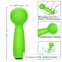 CalExotics Neon Vibes Bubbly Vibe Mini Masażer Zielony 10 Trybow USB CALEXOTICS
