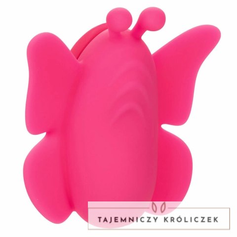 CalExotics Neon Vibes Flutter Vibe rożowy - kompaktowy stymulator z 10 trybami CALEXOTICS