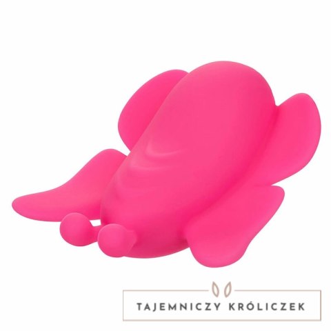 CalExotics Neon Vibes Flutter Vibe rożowy - kompaktowy stymulator z 10 trybami CALEXOTICS