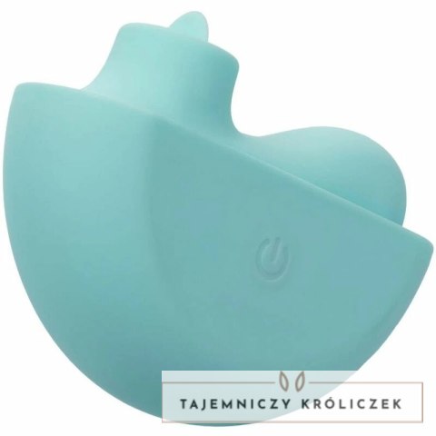 CalExotics Ovation Rave Aqua Green - stymulator z 10 trybami pracy i etui CALEXOTICS