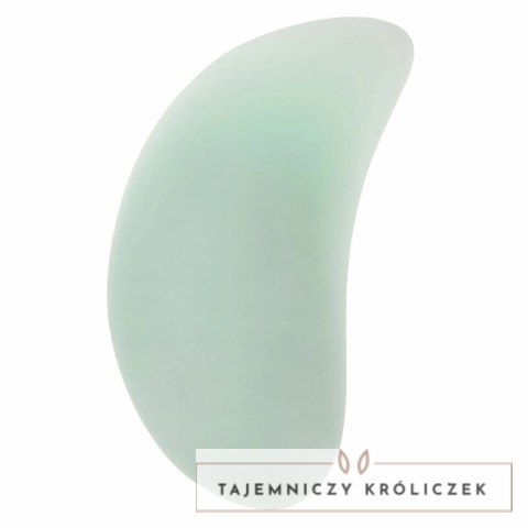 CalExotics Pacifica Bali Teaser 10 Trybow Aqua silikonowy USB CALEXOTICS
