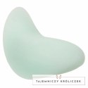 CalExotics Pacifica Bali Teaser 10 Trybow Aqua silikonowy USB CALEXOTICS