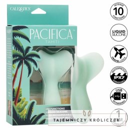 CalExotics Pacifica Tahiti Teaser Aqua 10 trybow, silikon, wodoodporny CALEXOTICS