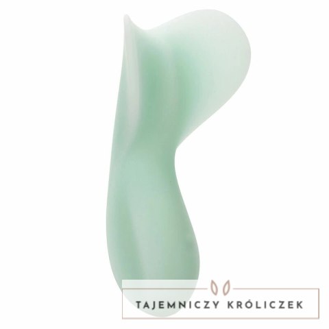 CalExotics Pacifica Tahiti Teaser Aqua 10 trybow, silikon, wodoodporny CALEXOTICS