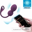 Pretty Love Elvira Fioletowe Kule Kegla z Aplikacją i Pilotem Bluetooth PRETTY LOVE