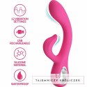 Pretty Love Fritz Rabbit 12 trybow, silikonowy model rożowy USB PRETTY LOVE