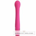 Pretty Love Fritz Rabbit 12 trybow, silikonowy model rożowy USB PRETTY LOVE