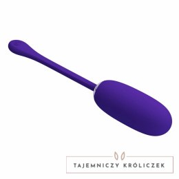 Pretty Love Julius - Fioletowy, wodoodporny system wibracyjny USB PRETTY LOVE