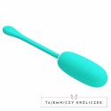 Pretty Love Julius - jajko wibracyjne wodoodporne, zielone, USB PRETTY LOVE