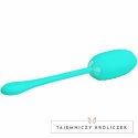 Pretty Love Kirk Aqua Green - Jajko wibrujące USB, 12 trybow, silikon PRETTY LOVE