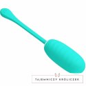 Pretty Love Kirk Aqua Green - Jajko wibrujące USB, 12 trybow, silikon PRETTY LOVE