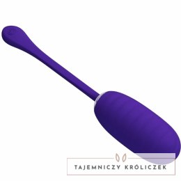 Pretty Love Kirk - Fioletowe jajko wibracyjne USB, 12 trybow, silikon PRETTY LOVE