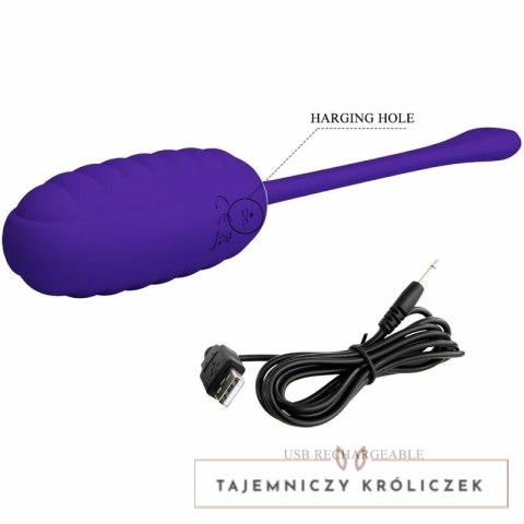 Pretty Love Kirk - Fioletowe jajko wibracyjne USB, 12 trybow, silikon PRETTY LOVE