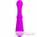 Pretty Love Skylar Purple - wielofunkcyjny stymulator silikonowy USB PRETTY LOVE