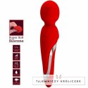 Pretty Love Walter Masażer Silikonowy Czerwony, 7 Trybow, USB PRETTY LOVE