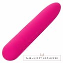 CalExotics Bliss Vibe silikonowy model wibrujący rożowy USB CALEXOTICS