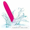 CalExotics Bliss Vibe silikonowy model wibrujący rożowy USB CALEXOTICS