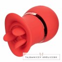 CalExotics French Kiss Suck & Play - zestaw z 2 końcowkami, silikon, USB CALEXOTICS