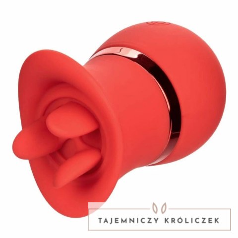 CalExotics French Kiss Suck & Play - zestaw z 2 końcowkami, silikon, USB CALEXOTICS