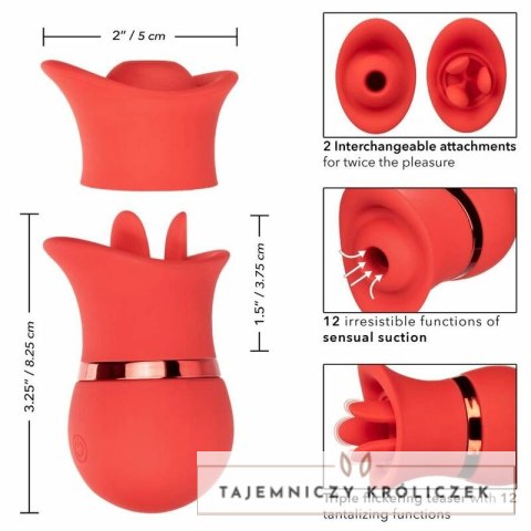 CalExotics French Kiss Suck & Play - zestaw z 2 końcowkami, silikon, USB CALEXOTICS