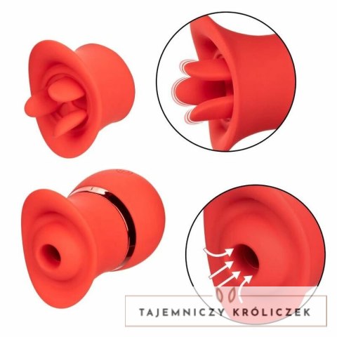 CalExotics French Kiss Suck & Play - zestaw z 2 końcowkami, silikon, USB CALEXOTICS