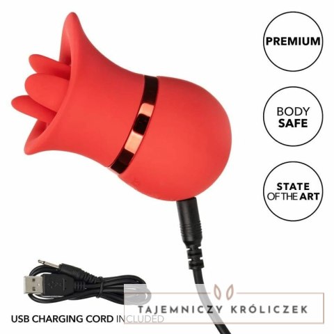 CalExotics French Kiss Suck & Play - zestaw z 2 końcowkami, silikon, USB CALEXOTICS