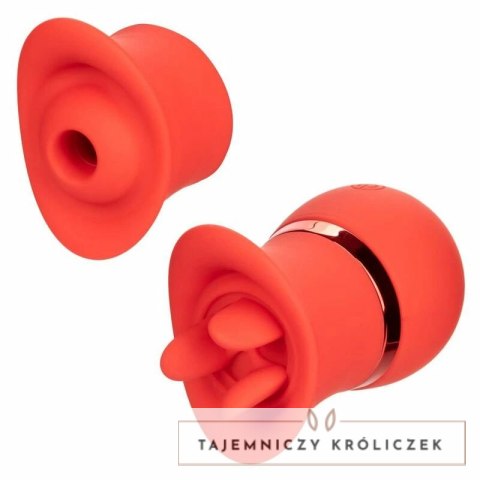 CalExotics French Kiss Suck & Play - zestaw z 2 końcowkami, silikon, USB CALEXOTICS