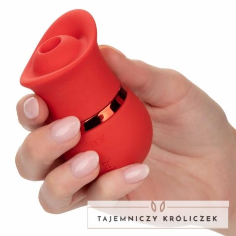 CalExotics French Kiss Suck & Play - zestaw z 2 końcowkami, silikon, USB CALEXOTICS