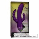 CalExotics Long Beach Bootylicious fioletowy - model wielofunkcyjny z trzema silnikami CALEXOTICS