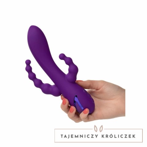 CalExotics Long Beach Bootylicious fioletowy - model wielofunkcyjny z trzema silnikami CALEXOTICS