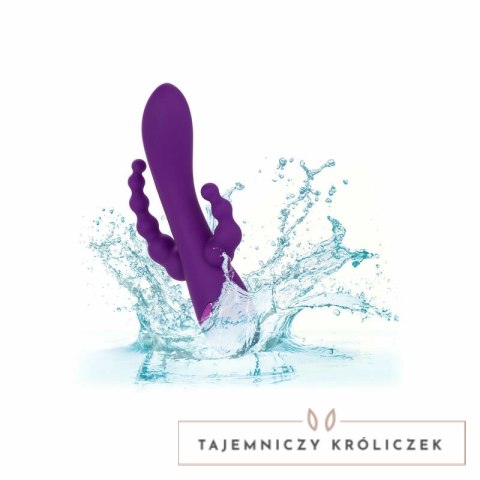 CalExotics Long Beach Bootylicious fioletowy - model wielofunkcyjny z trzema silnikami CALEXOTICS